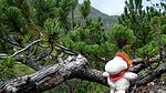 Natur