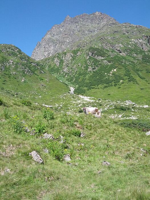 Natur