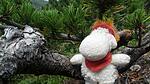 Natur