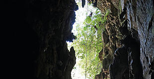 Test 5