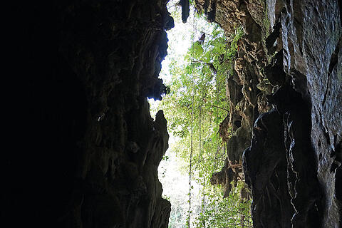 Test 5