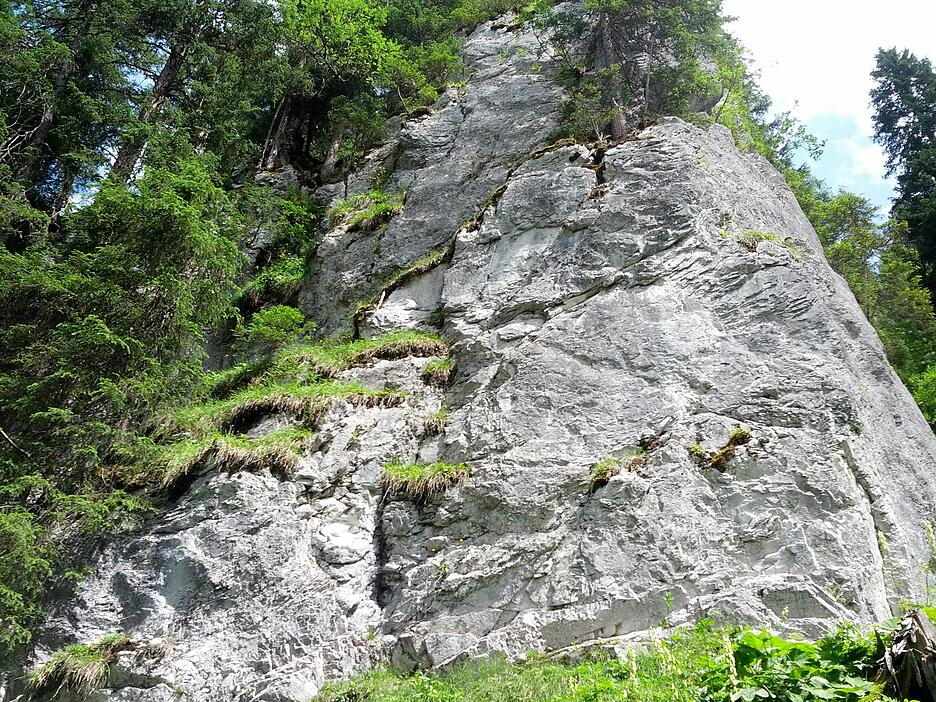 Natur
