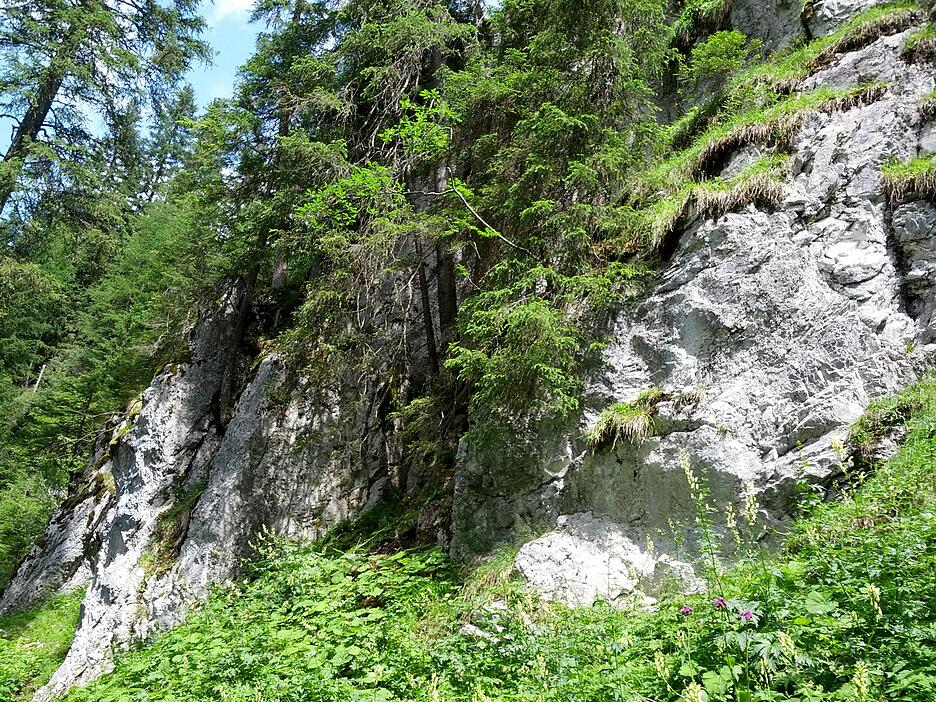 Natur