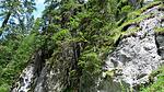 Natur