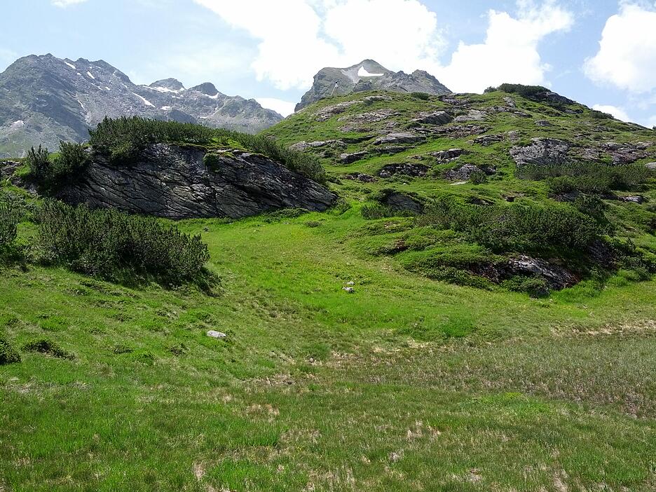 Natur