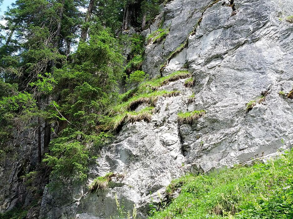 Natur