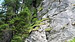 Natur