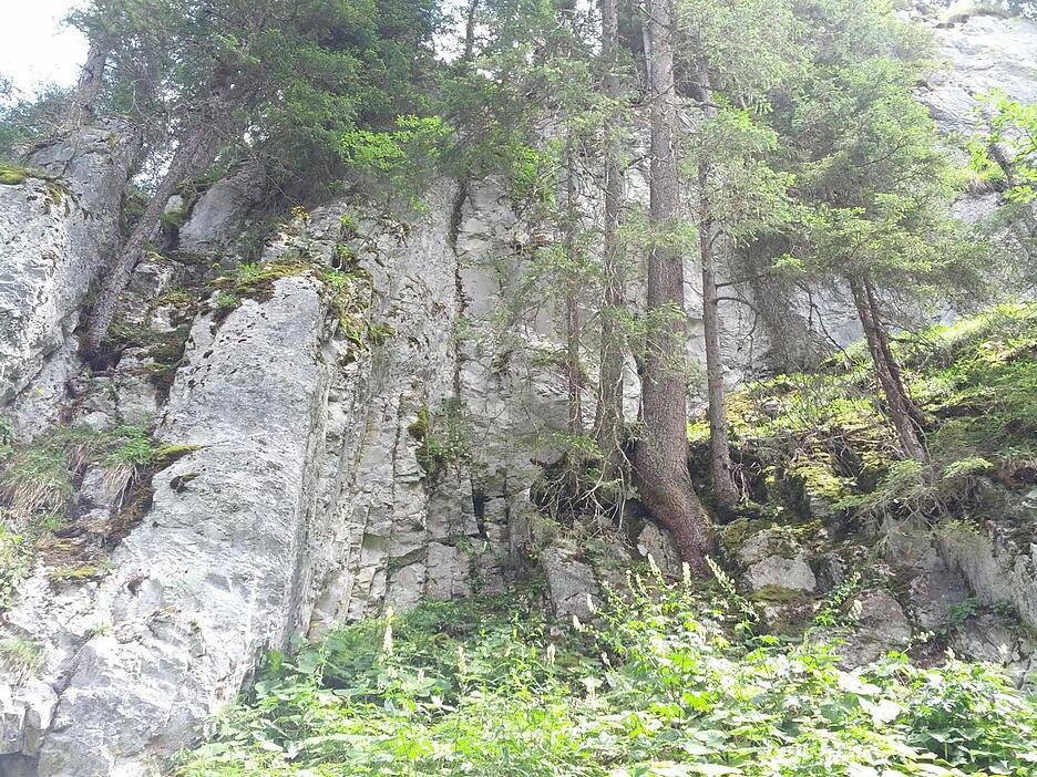 Natur