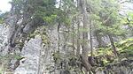 Natur