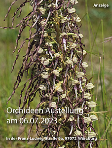 Orchideen Ausstellung