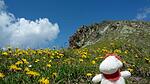 Natur