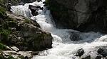Natur